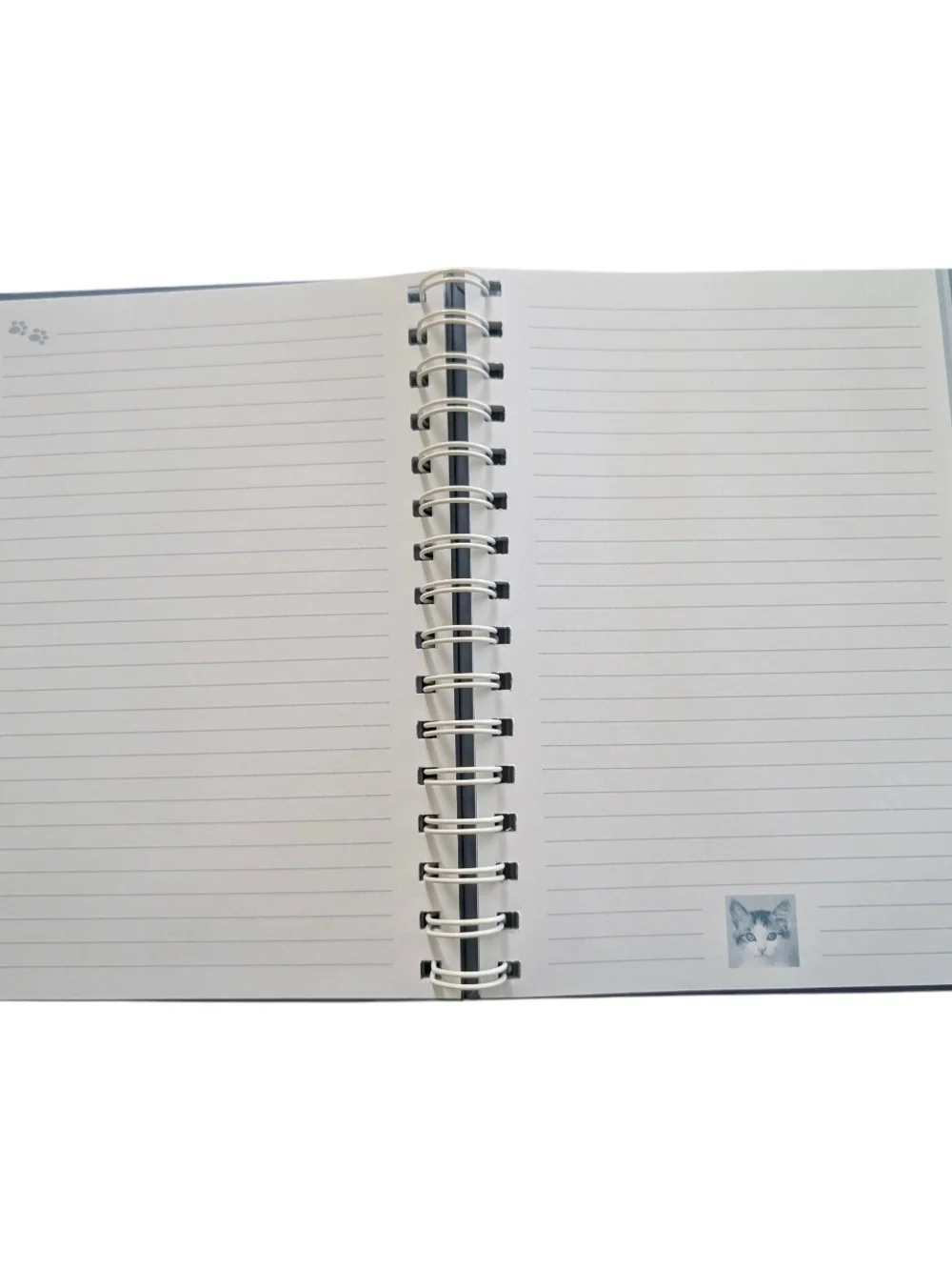 Blue Cat Journal Notebook by Rachel Hale